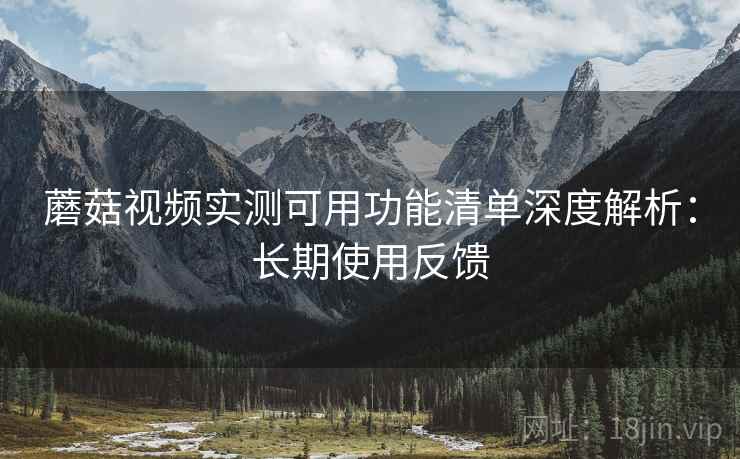 蘑菇视频实测可用功能清单深度解析：长期使用反馈