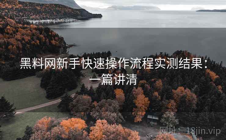 黑料网新手快速操作流程实测结果：一篇讲清