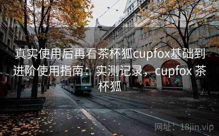 真实使用后再看茶杯狐cupfox基础到进阶使用指南：实测记录，cupfox 茶杯狐